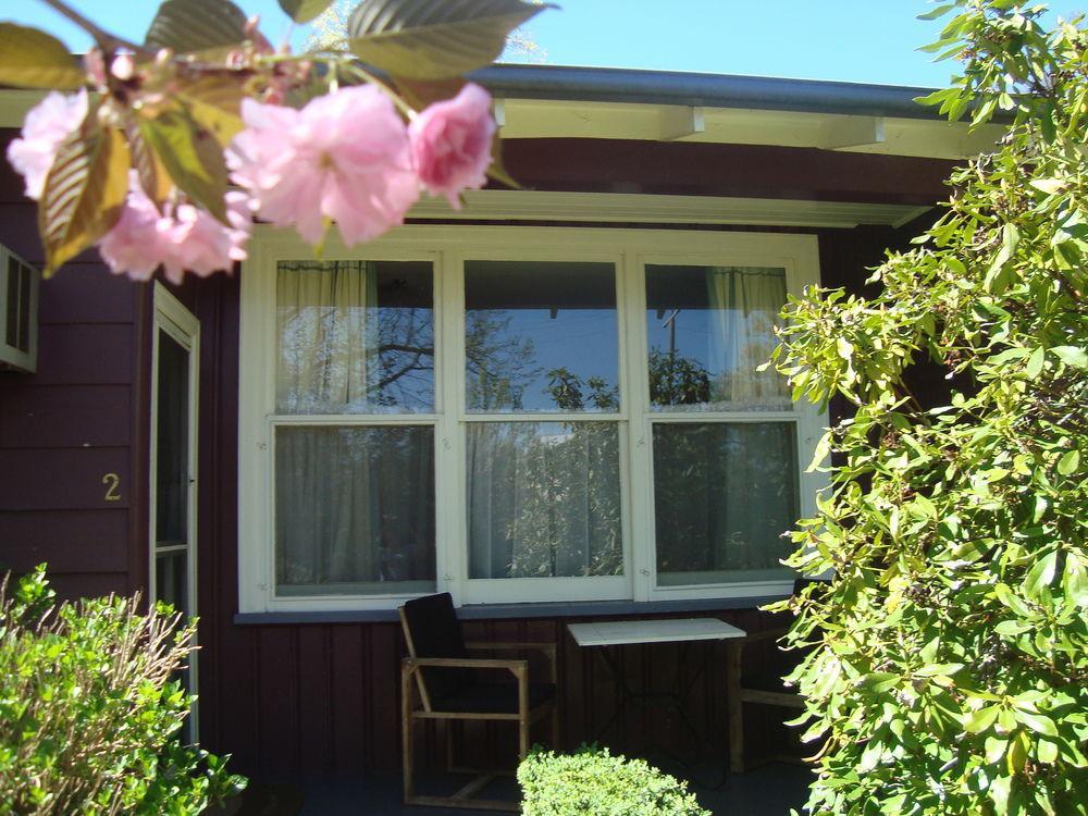 Elm Lodge Bright Exteriér fotografie