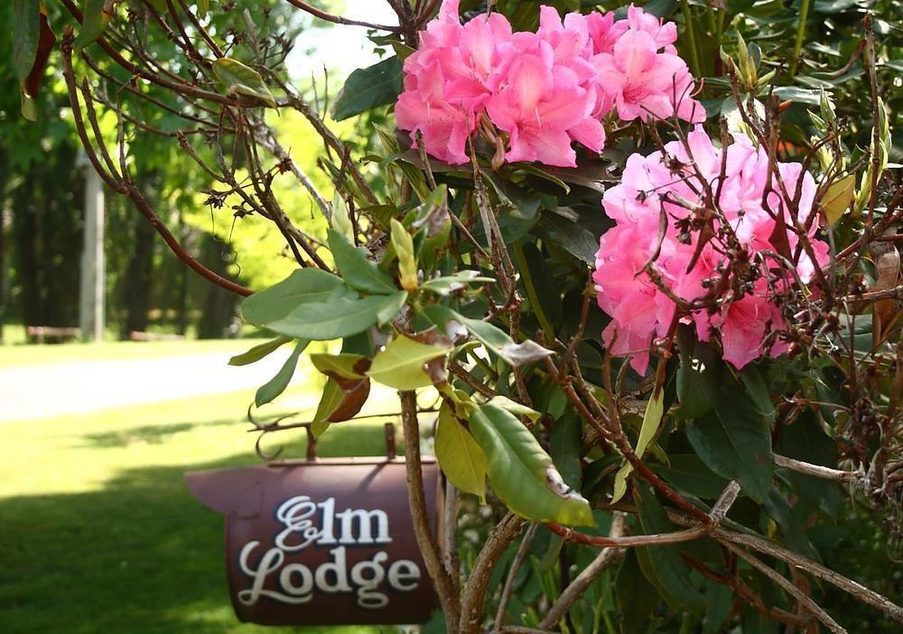 Elm Lodge Bright Exteriér fotografie